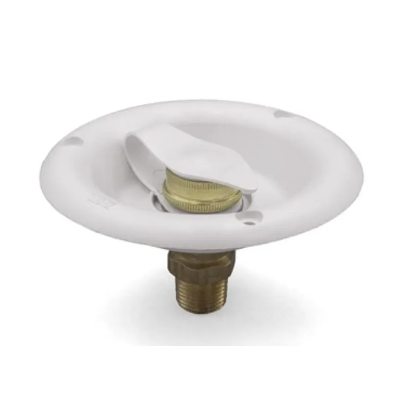 City Water Dish w/ 1/2
